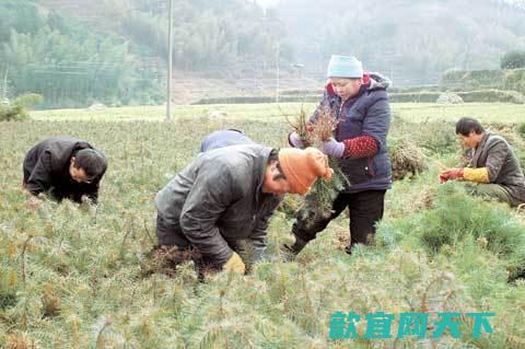 地震后冻伤急救方法大全