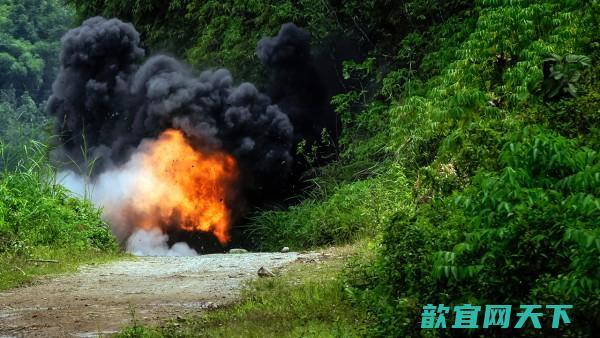 变异的能够在富含TNT毒素的土壤中生长