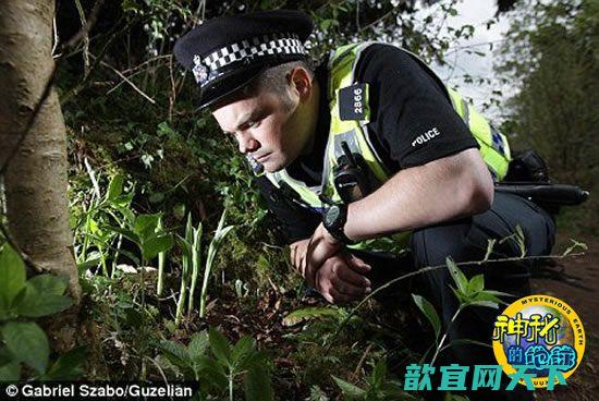 英国最后一株杓兰将开花 警方24小时保护