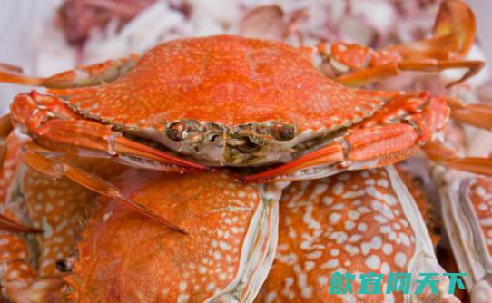 海蟹需要蒸多久才可以食用 蒸海蟹的方法推荐