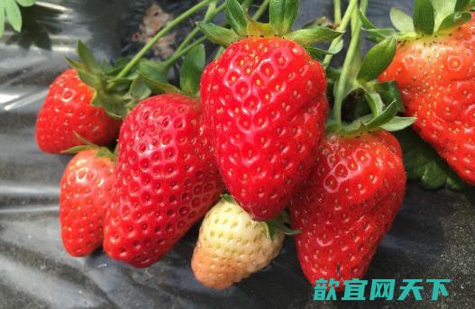 20个保存食物的小妙招 保证让你受用无穷