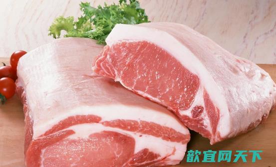 不宜和猪肉搭配的5种食物 同食有可能引起中毒