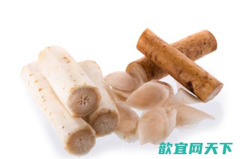 牛蒡茶与牛蒡根，哪个更好？二者仅一字之差，具体又有哪