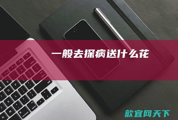 一般去探病送什么花