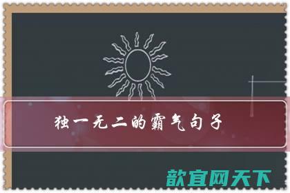 独一无二的霸气句子（野性霸气干净社会句子）